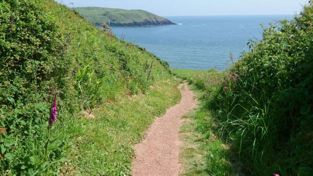 7 Fun Things to do in Saundersfoot Around Tenby