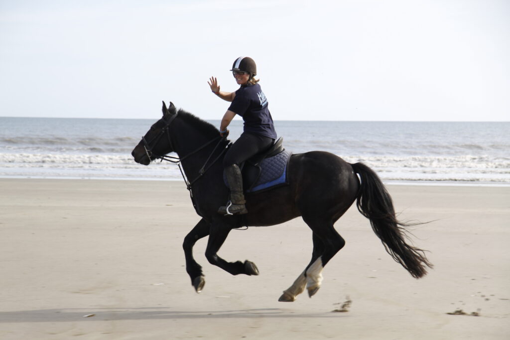 Marros Riding Centre